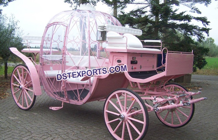Cinderella Horse Carriage
