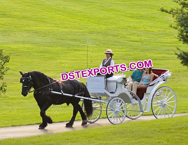 Victoria Horse Dawn Carriage Builder