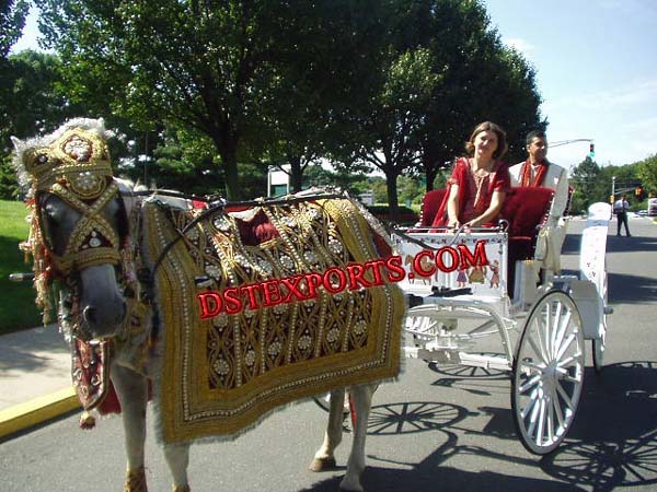 INDIAN WEDDING HORSE COSTUMESS