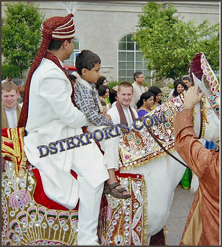 DESIGNER WEDDING HORSE COSTUMES