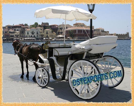 NEW BEACH WEDDING CARRIAGE