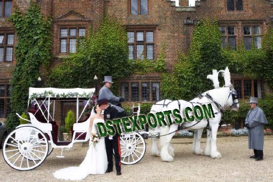 NEW ROMANTIC HORSE CARRIAGE