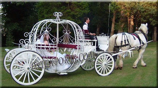 WEDDING CINDERALA CARRIAGE 22