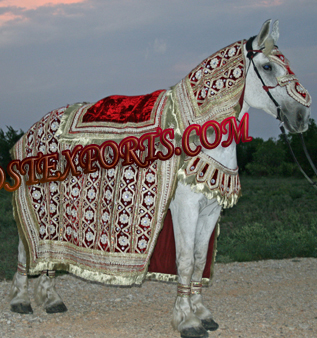 INDIAN WEDDING DESIGNER HORSE COSTUMES