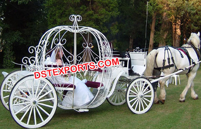 Cinderella Carriages