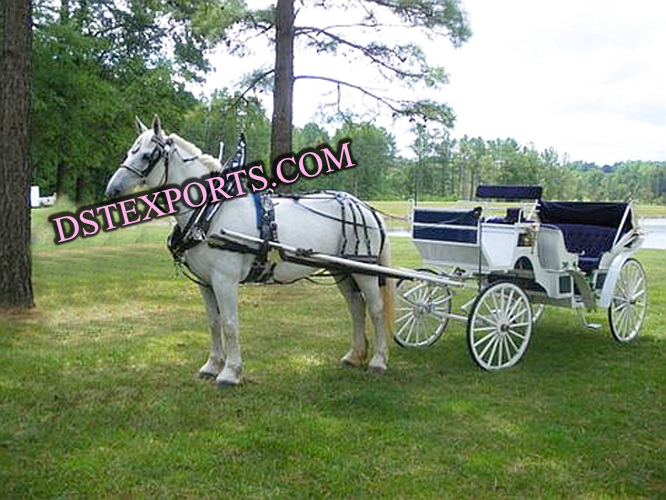 WEDDING HORSE BUGGY