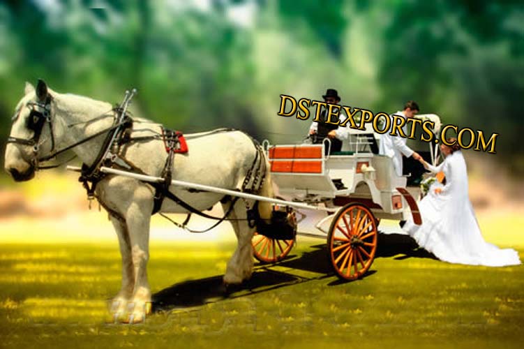 WEDDING BEAUTIFUL WHITE HORSE CARRIAGE