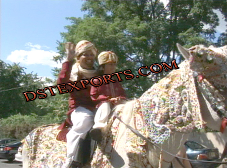 INDIAN BARAAT COLOURFUL HORSE COSTUME