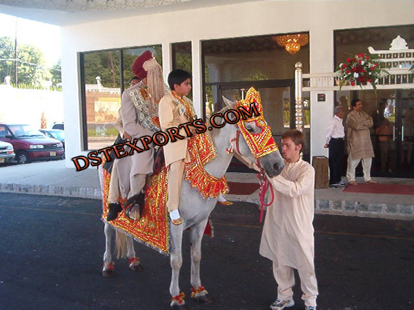 INDIAIN BARAAT RED EMBRODRIED HORSE COSTUME