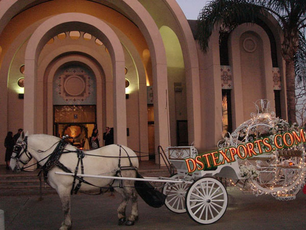 NEW LIGHTED CINDRELLA CARRIAGE