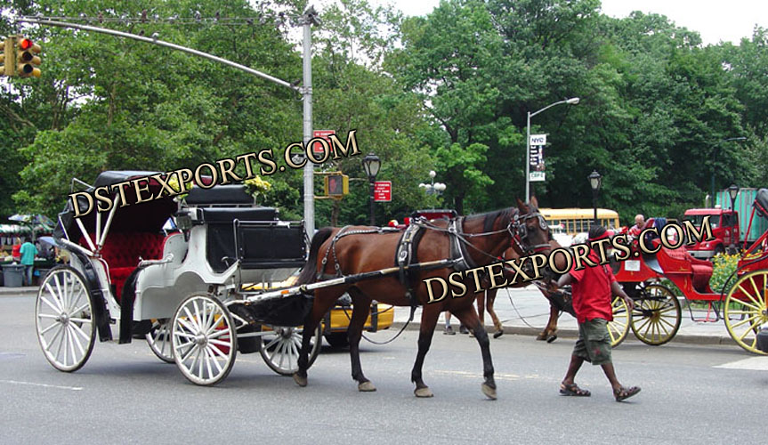 CENTER PARK TOURING HORSE CARRIAGE