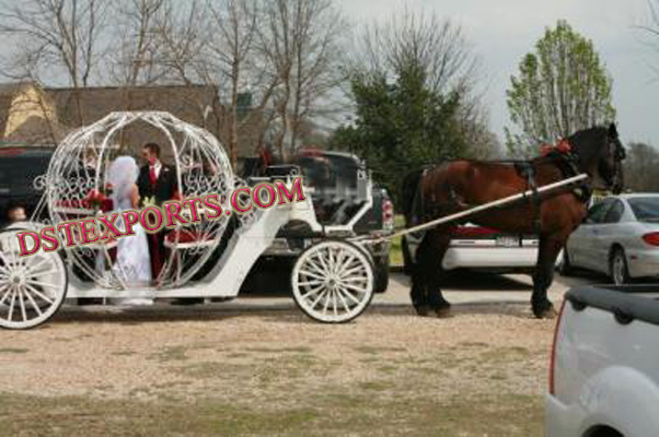 ASIAN WEDDING CINDERALLA CARRIAGE