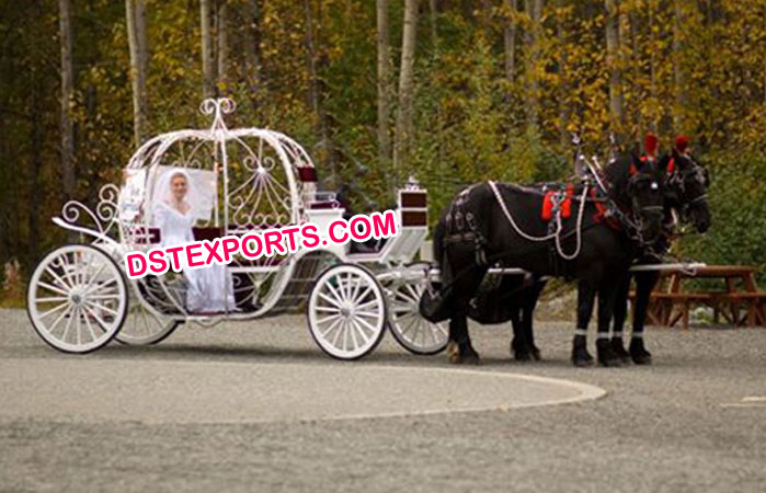 Bride Touring Cinderella Horse Carriages