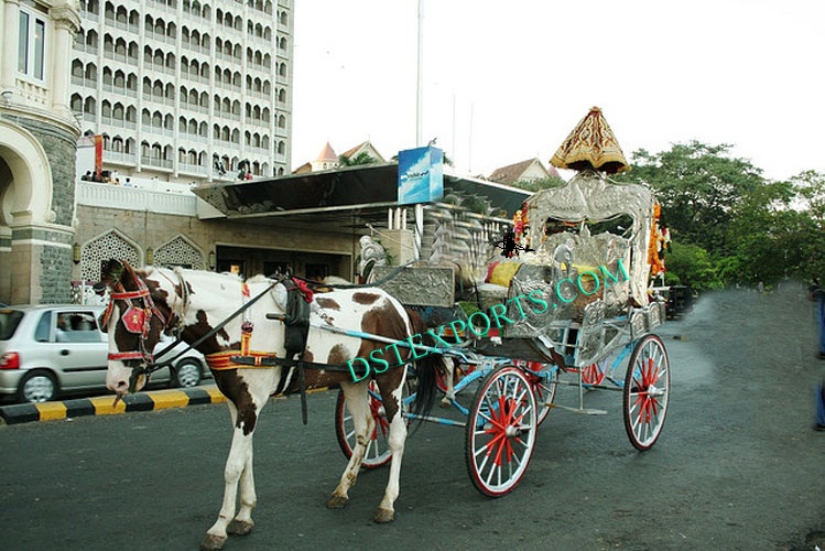 INDIAN WEDDING BAGHIS