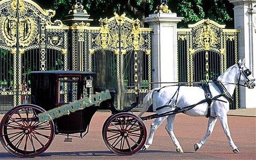 COVERED BLACK HORSE DRAWN CARRIAGE