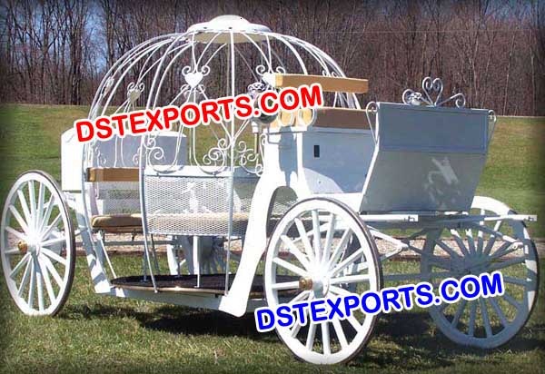 NIGERIAN WEDDING CINDERALLA CARRIAGE