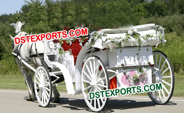 NEWLY WEDDING HORSE CARRIAGE