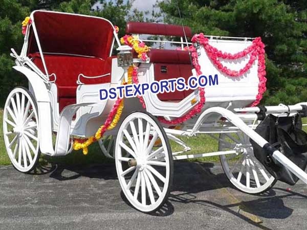 INDIAN WEDDING DECORATED BUGGY