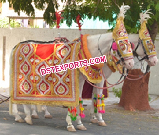 Indian Wedding Barat Horse Decorations