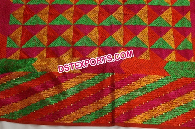 Embroidered Traditional Phulkari Bagh