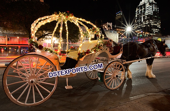 Princess Wedding Horse Carriage