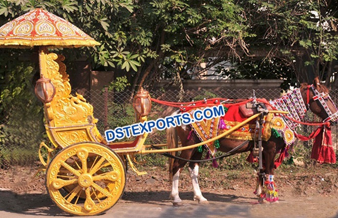 Traditional Indian Wedding Horse Cart