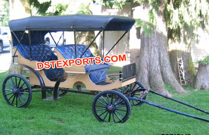 Small Victoria Horse Carriage Buggy