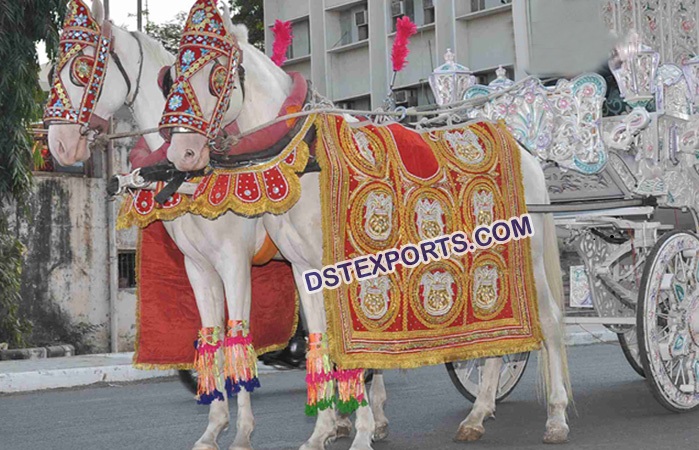 Beautiful Marriage Horse Dress