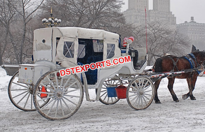 White Horse Buggy For English Wedding