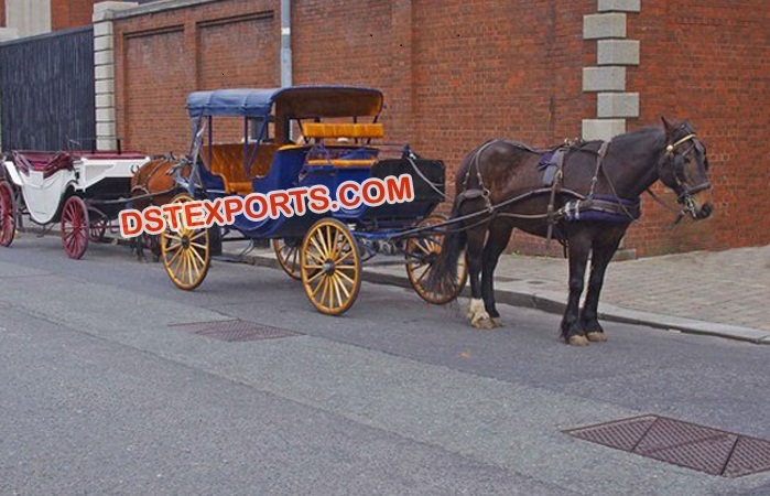 Stylish Victoria Touring Horse Buggy Vehical