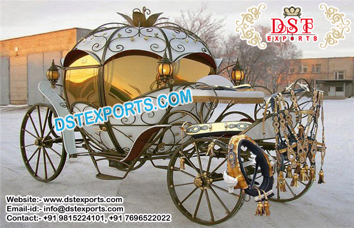 Lotus Look Covered Horse Drawn Carriage