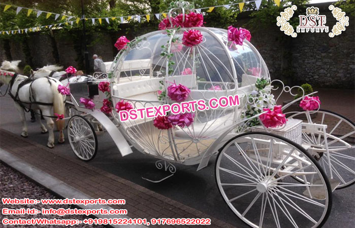 Fairy-tale Wedding Cinderella Covered Carriage