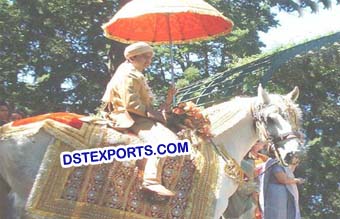 Indian Wedding Processions