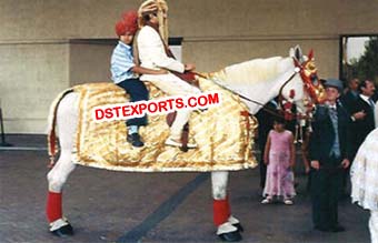 Wedding Barat Horse Costumes