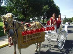 INDIAN WEDDING HORSE COSTUMESS