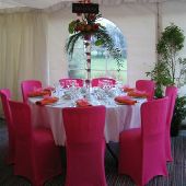 WEDDING HALL PINK CHAIR COVERS