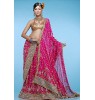 WEDDING PINK EMBROIDERY SAREE