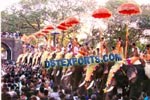 DECORATED ELEPHANT COSTUMES AND UMBERALAS