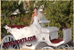 ENGLISH WEDDING HORSE CARRIAGE