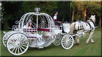 WEDDING CINDERALA CARRIAGE 22