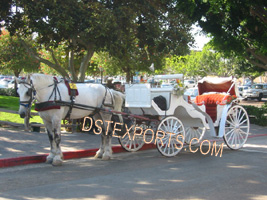 WEDDING NEW VICTORIA CARRIAGE