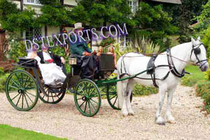 ANTIQUE BLACK VICTORIA CARRIAGE