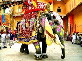 DECORATED ELEPHANT COSTUMES