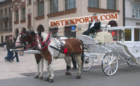 PRINCE WEDDING COVERED CARRIAGE