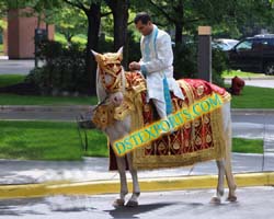 WEDDING NEW DESIGER HORSE COSTUMES
