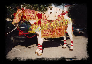 WEDDING GOLDEN DESIGNER HORSE COSTUMES