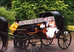 TWO SEATER BLACK VICTORIA CARRIAGE
