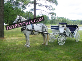 WEDDING HORSE BUGGY