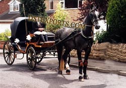 WEDDING NEW BLACK VICTORIA HORSE CARRIAGE