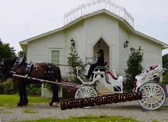 BEAUTIFUL ENGLISH VICTORIA HORSE CARRIAGE